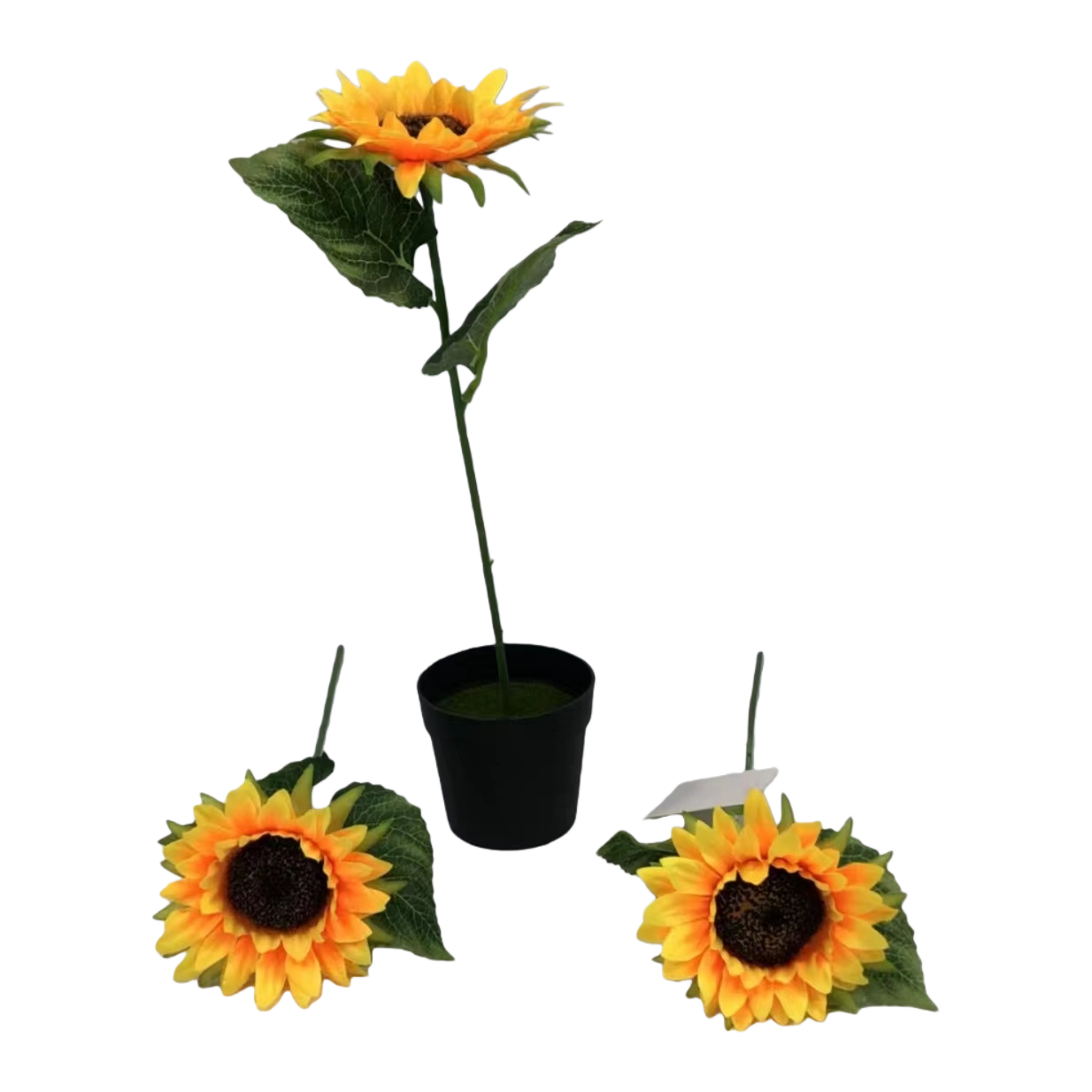 ويُضاف إلى نبات عباد الشمس الأصفر باقة من الزهور ذات 20 سنتيمترا من أزهار البابونج Item Picture