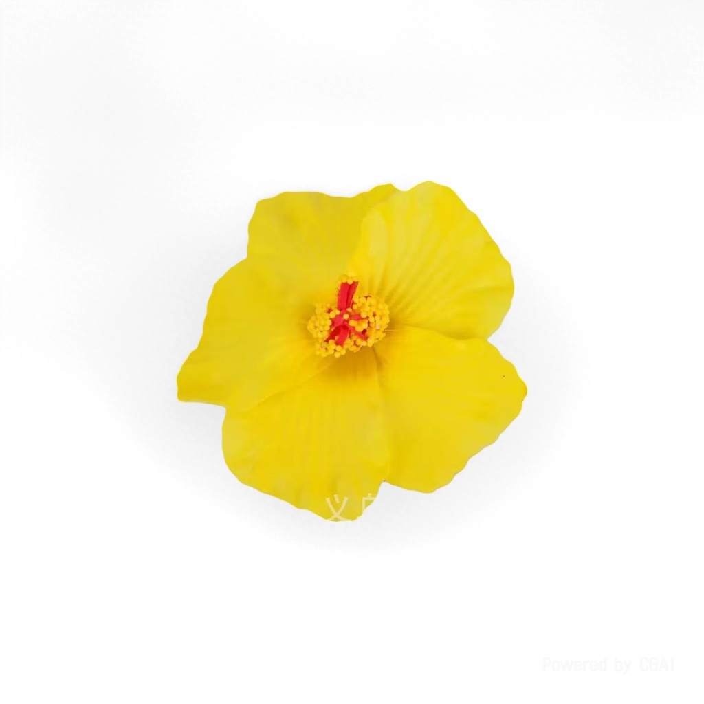 Colorful soap bouquet set, soap flower head, single soap flower, soap flower bouquet details Picture