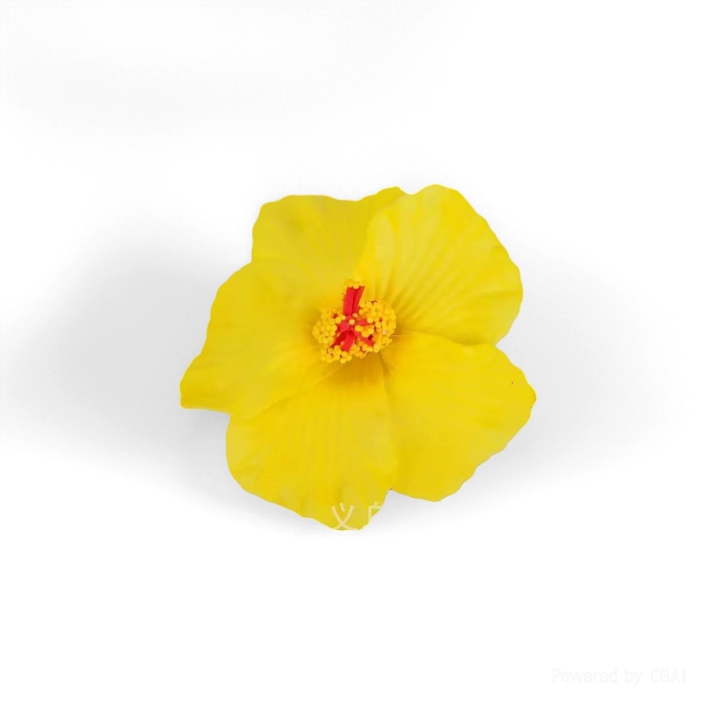 Colorful soap bouquet set, soap flower head, single soap flower, soap flower bouquet Application Scenario