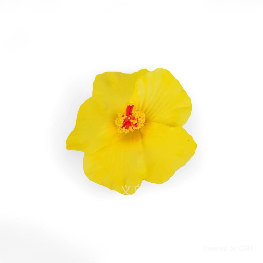 Colorful soap bouquet set, soap flower head, single soap flower, soap flower bouquet Specification image