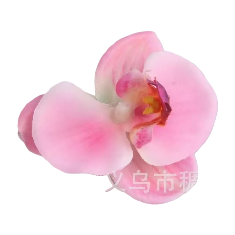 Orchid family plant pink orchid petal plant blind box Green plant artificial tree mint potted plant blind box Item Picture