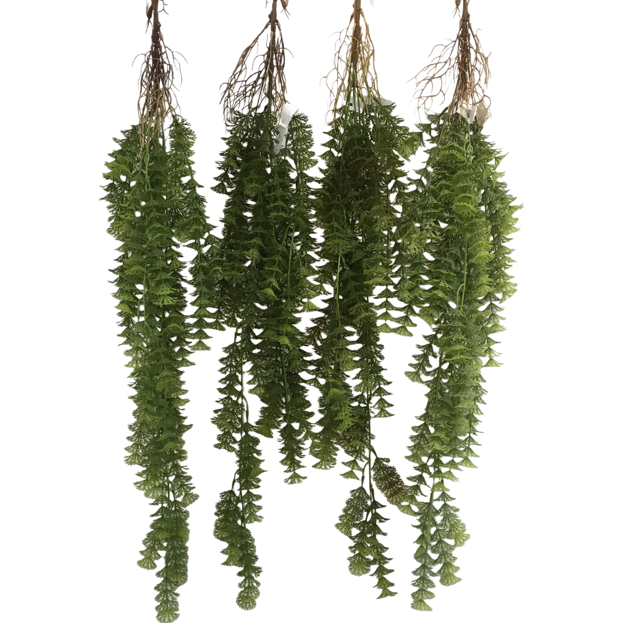 Simulated aquatic plants hanging down, site arrangement