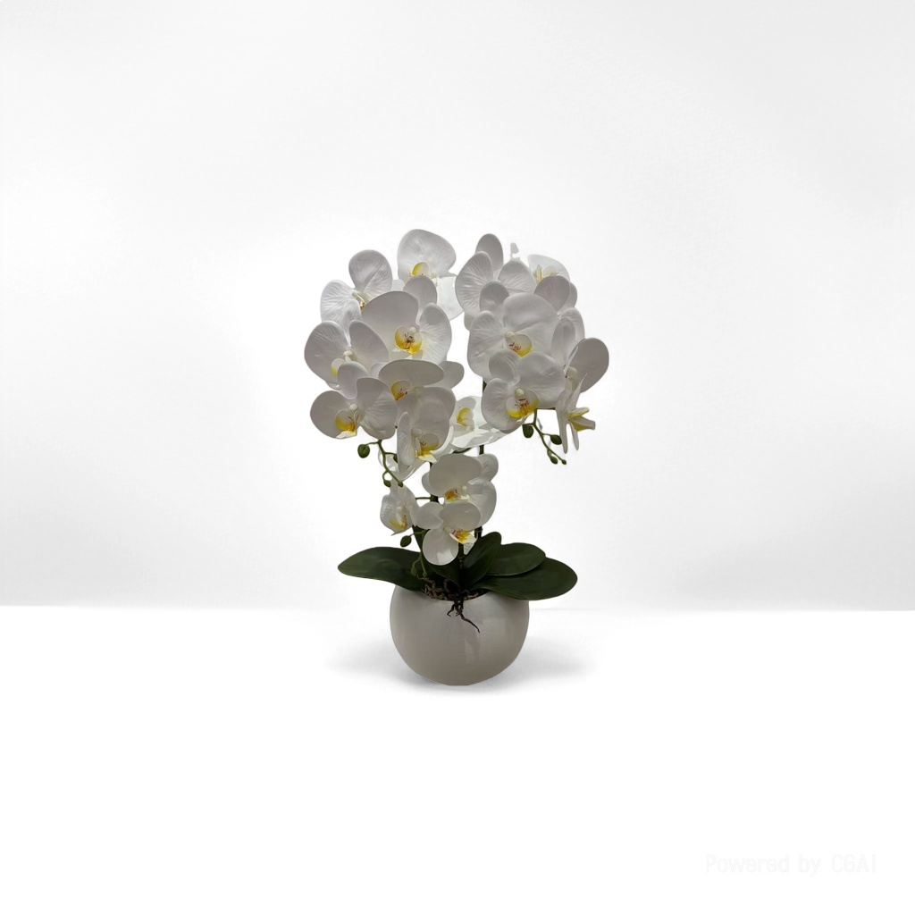兰科植物实物图