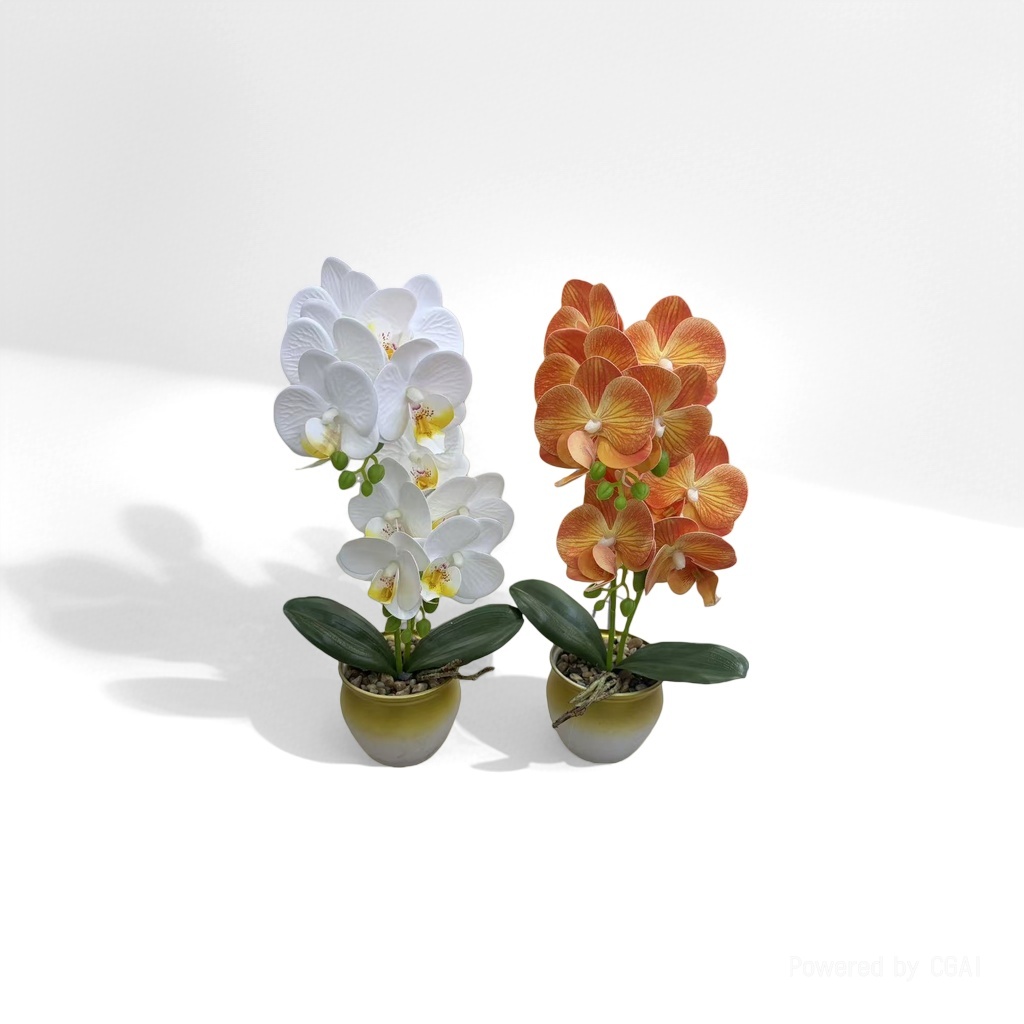 兰科植物白色与橙色蝴蝶兰盆栽 室内观叶花卉客厅阳台装饰