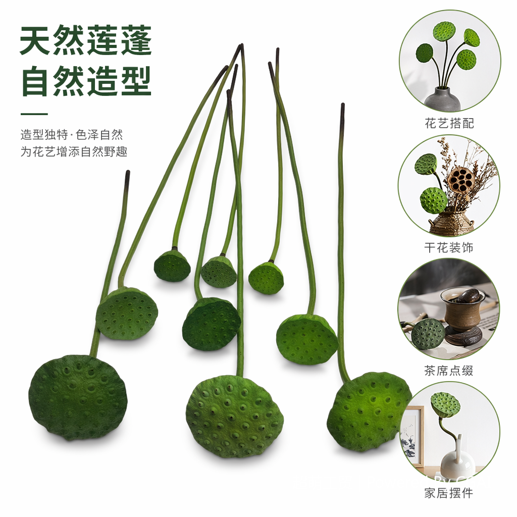 绿色莲蓬仿真果蔬食物工艺品 微缩食玩手工果壳国潮