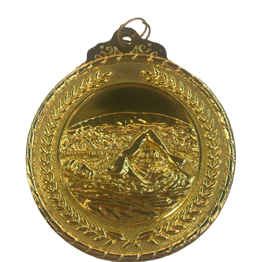 Golden embossed swimmer's medal, gold foil plastic trophy with a tabletop nameplate Item Picture