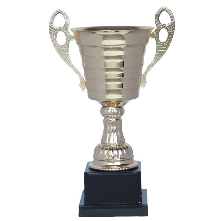 The crystal-textured golden trophy with a stable plastic base is universal for award ceremonies Item Picture