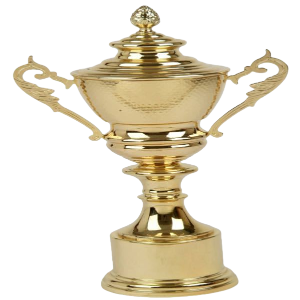 الكأس الذهبية المغلفة بالذهب مع قاعدة صلبة من البلاستيك Item Picture