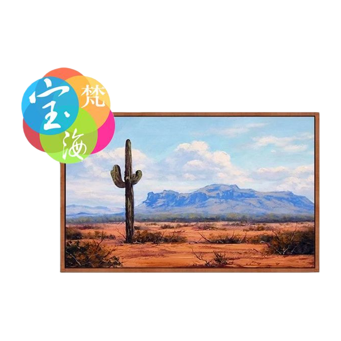 Best-selling DIY diamond painting for foreign trade, cross-border Amazon bestseller 3040, living room decoration painting YSG desert cactus 143934111 Item Picture