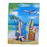 Colorful beach-themed gift bags, souvenir packaging boxes, and running lighting fixture packaging boxes Item Picture