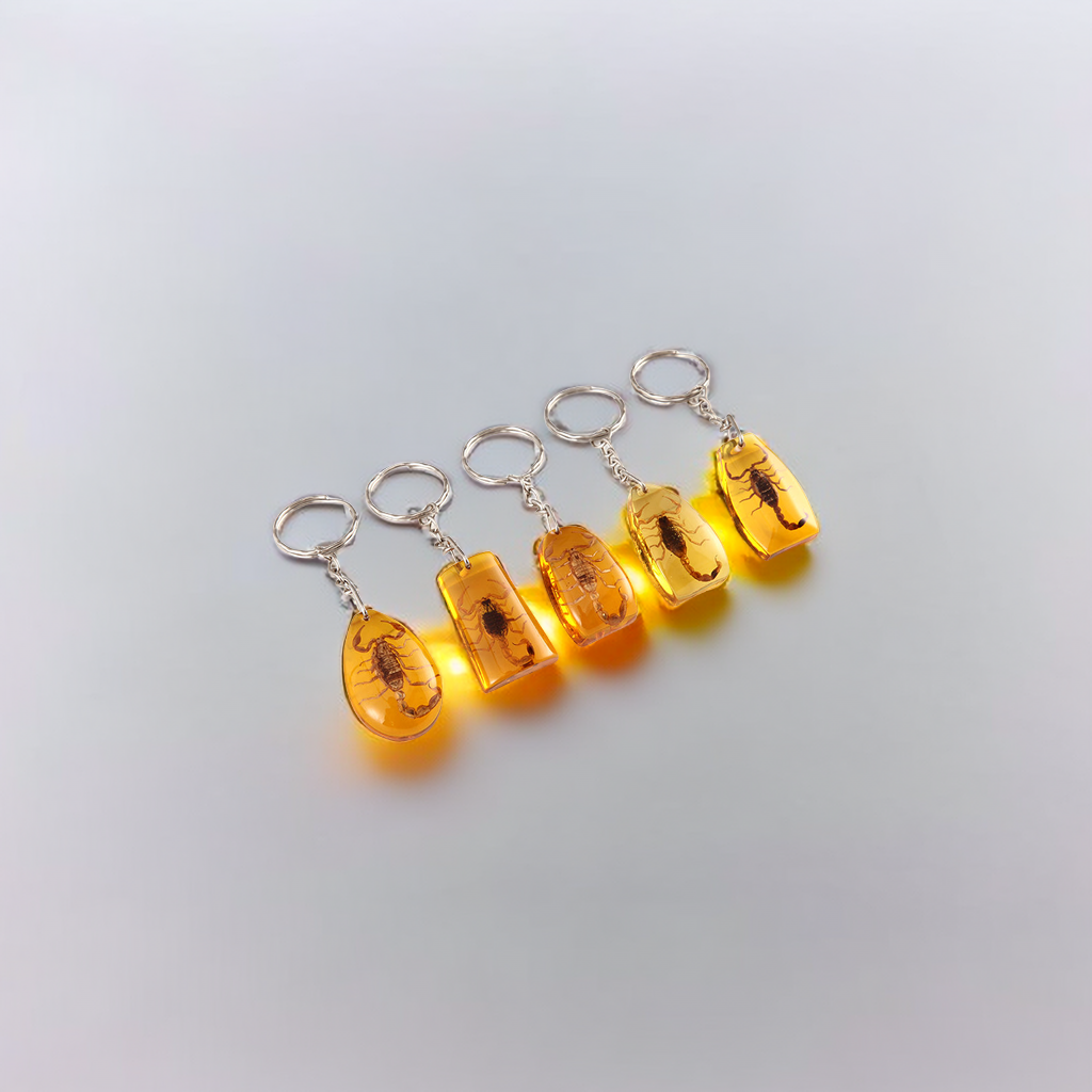 新品上市！天然昆虫标本蝎子钥匙扣，避邪保平安，挂包包钥匙，赠品等你来拿！详情图2