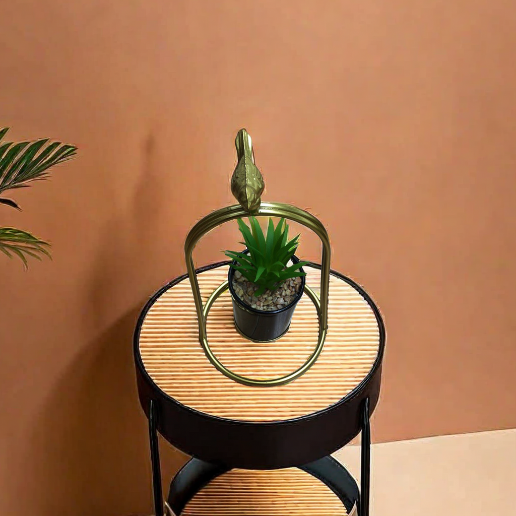 盆栽植物细节图