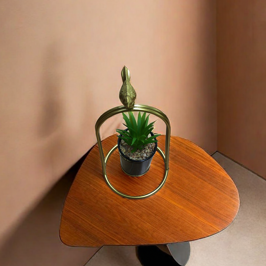 盆栽植物产品图