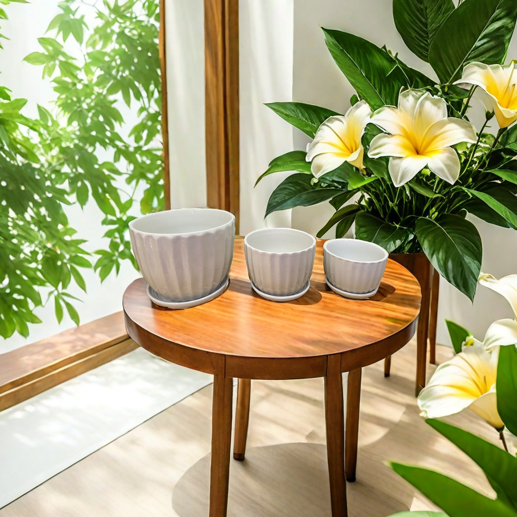 花盆摆件，陶瓷花盆，园艺栽培。家居装饰细节图