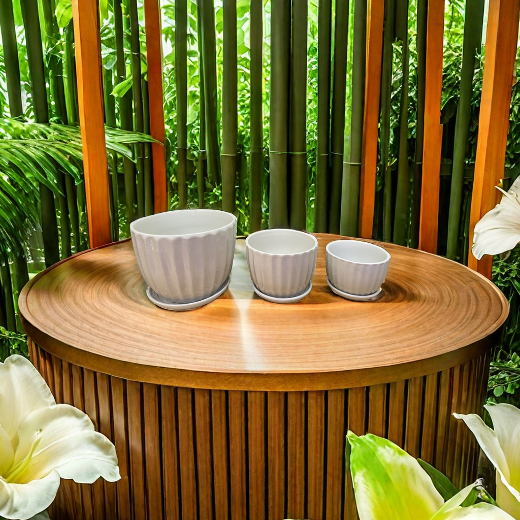 花盆摆件，陶瓷花盆，园艺栽培。家居装饰产品图