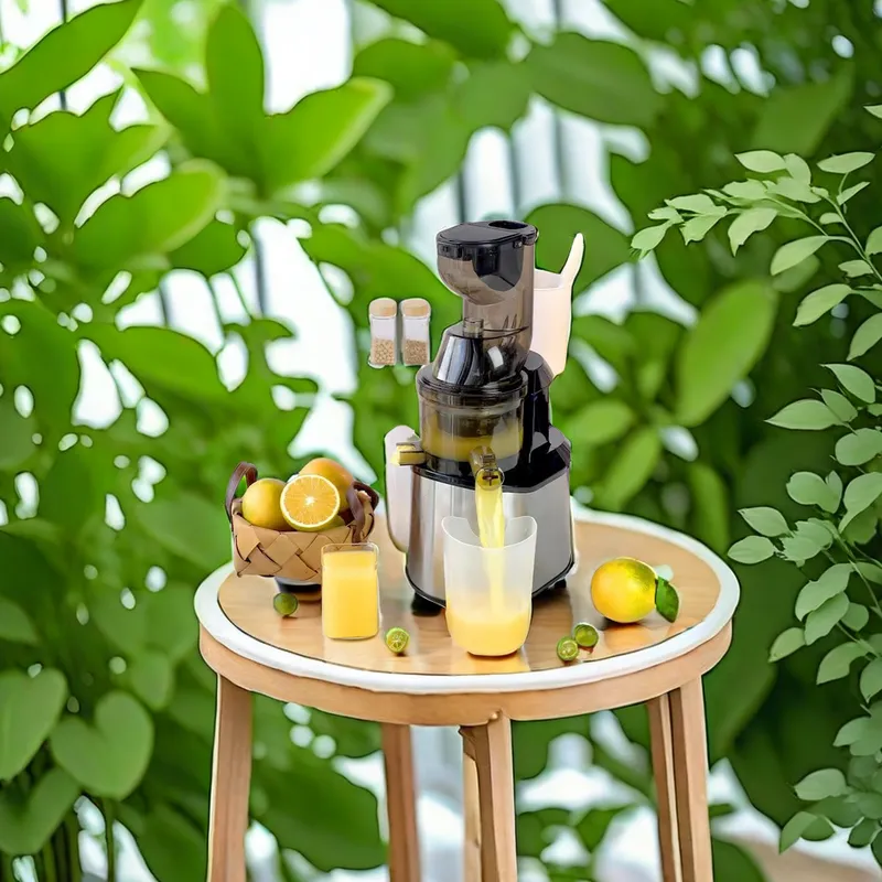 Cross-Border New Stainless Steel Juicer Home Automatic Juicer Juice Residue Separation Size Caliber Suitable For Gift Delivery Services