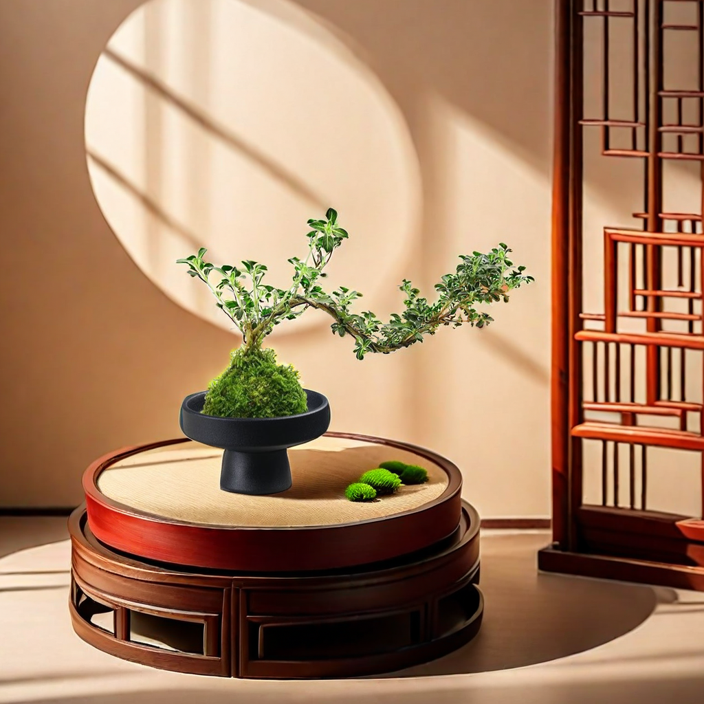 花盆/一次性花盆/朔料花盆/多肉花盆/花盆盆栽细节图