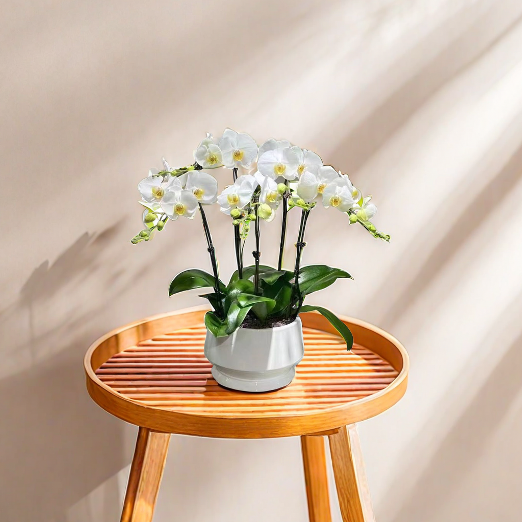 Nordic ins style modern and simple ceramic flower POTS, green plants, flower POTS, indoor and outdoor home decorations, tables, balconies, greening and beautification, suitable for other categories