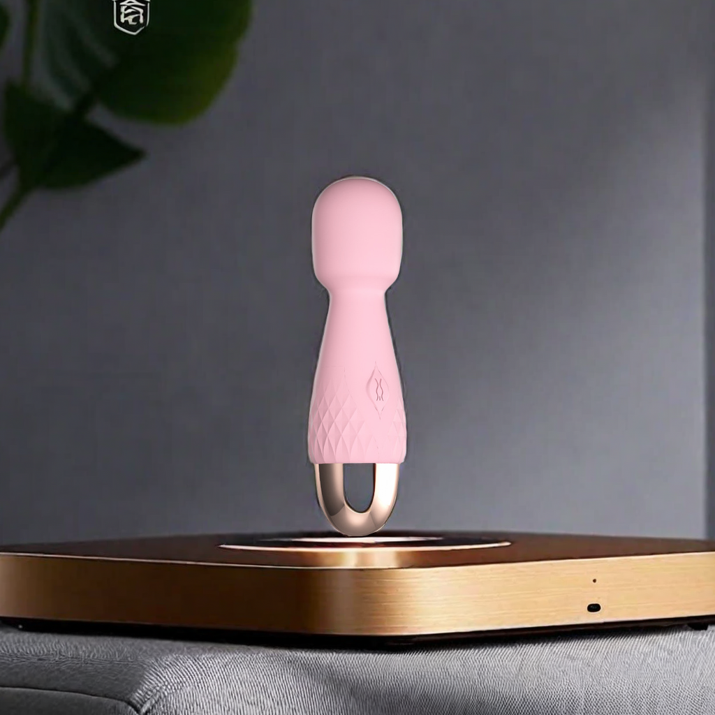 Come to Lomi Ni av stick compact portable USB charging bass strong vibration female masturbator female adult sex toys Item Picture