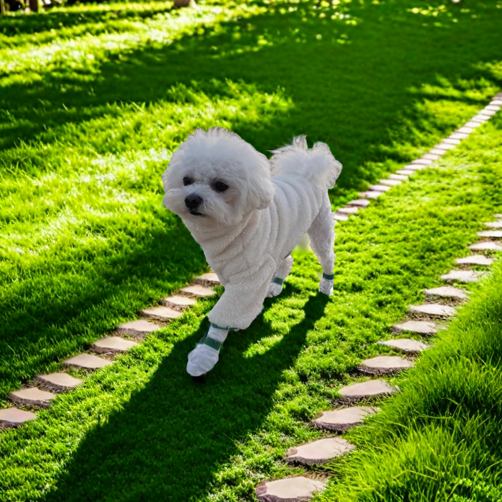 Pet products Dog outdoor walking ring dirty disposable breathable shoes washless comfortable protective foot cover Other categories of pet protective products details Picture