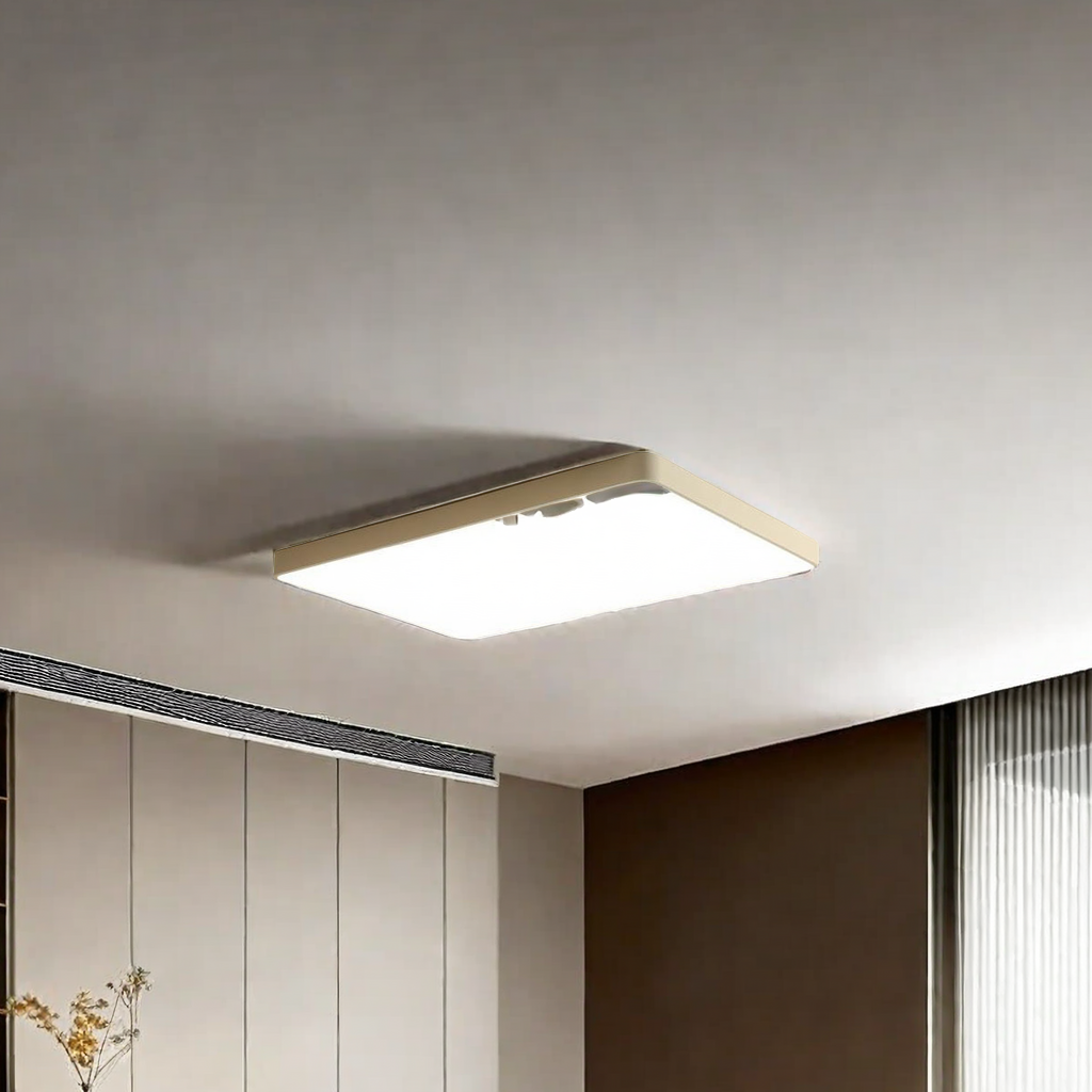 import白底实物图