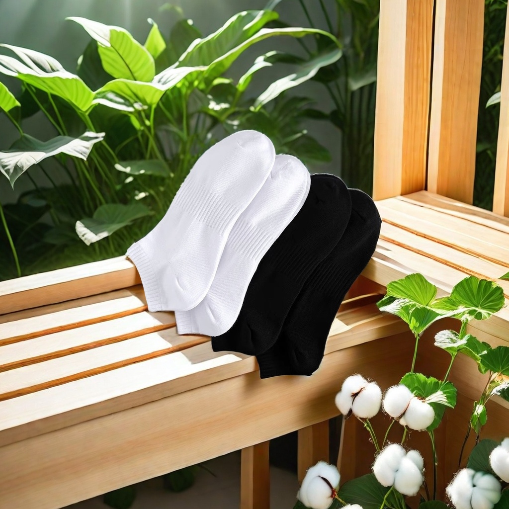 import白底实物图