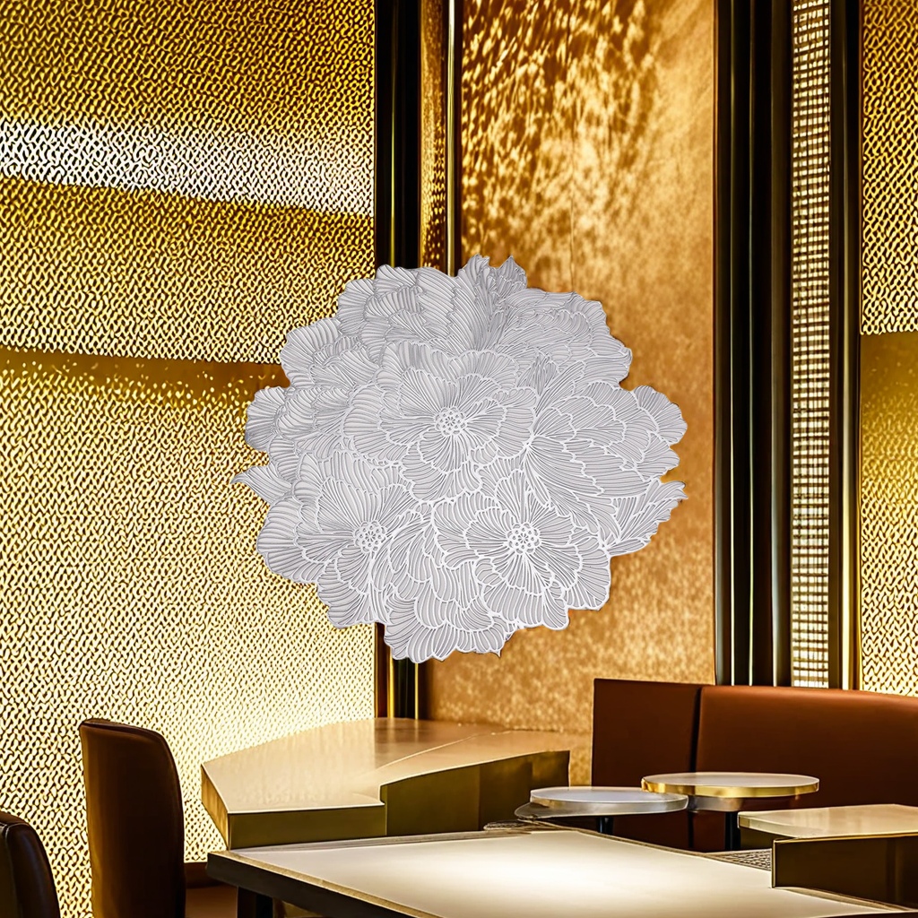 import白底实物图