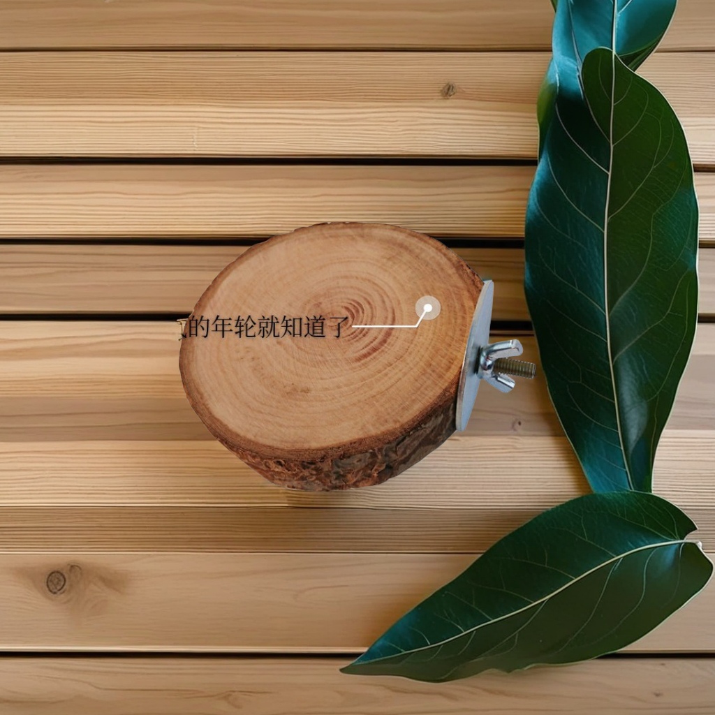 Apple wood dried teething toy, jump platform, jump column, springboard, step, totoro, squirrel, hamster, sugar glider, playing in the cage, having fun, hand drum shape design, creative and unique Item Picture