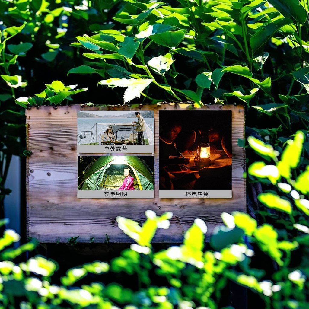 液压车/液压叉车/电动叉车/液车产品图