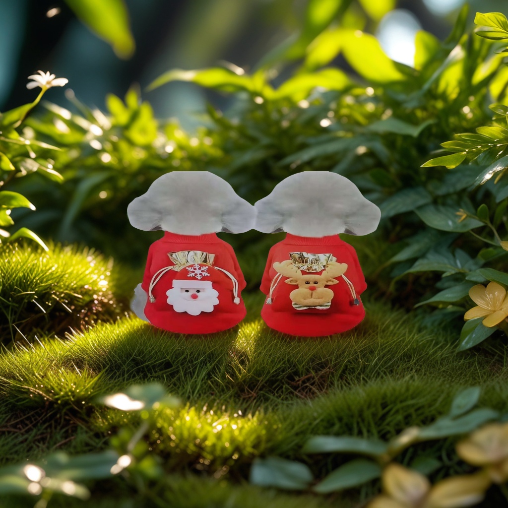 宠物项圈实物图