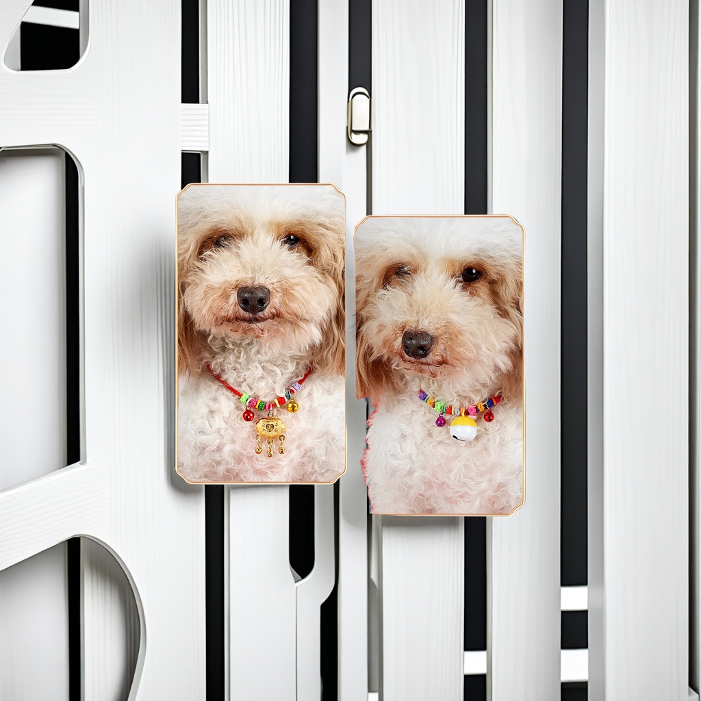 British Shorthair doll Bichon Frise Teddy dog special dog collar, cat collar with bell safety lock design, dog collar, cat neck collar decorated with Chinese knot elements Application Scenario