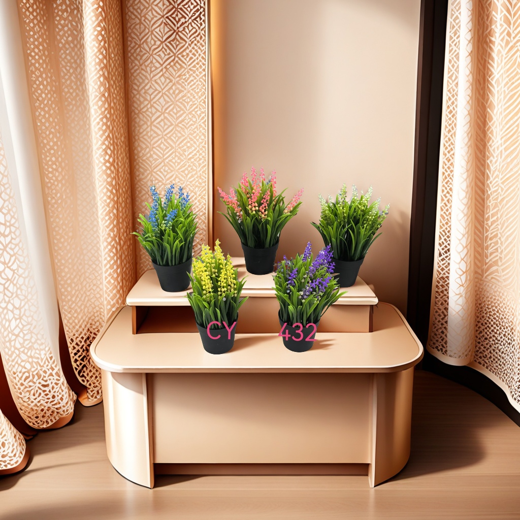 囊果龙船花盆栽 室内绿植观叶植物 空气净化植物 囊果龙船花苗 绿色家居装饰品产品图