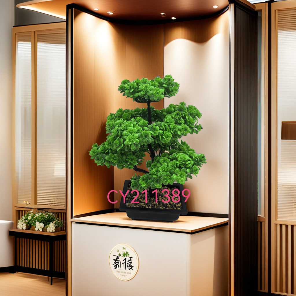 阳台绿化盆栽植物 多肉植物组合套装 室内空气净化植物 小型观叶植物 绿植装饰品