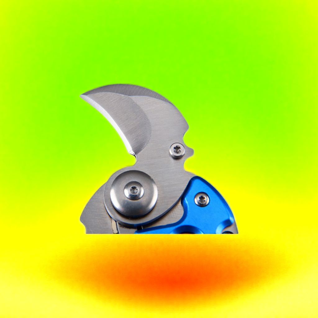 Mini outdoor folding knife, coin knife, multi-functional portable keychain knife, stainless steel fruit knife, folding knife, lightweight and practical, easy to carry with safety protection details Picture