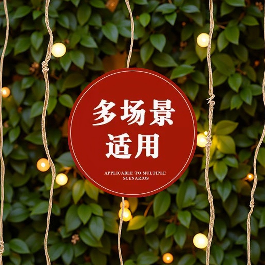 LED装饰灯实物图