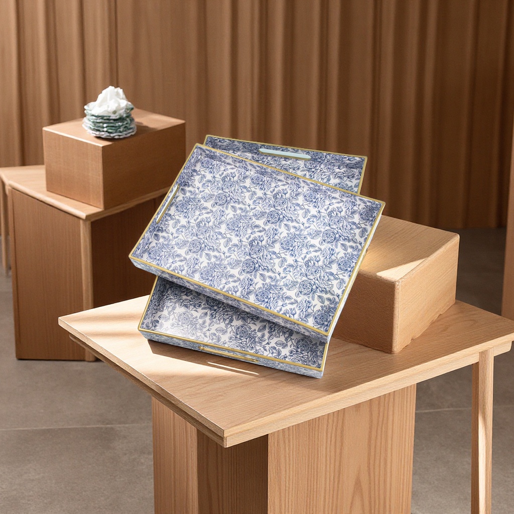 托盘，收纳盘白底实物图