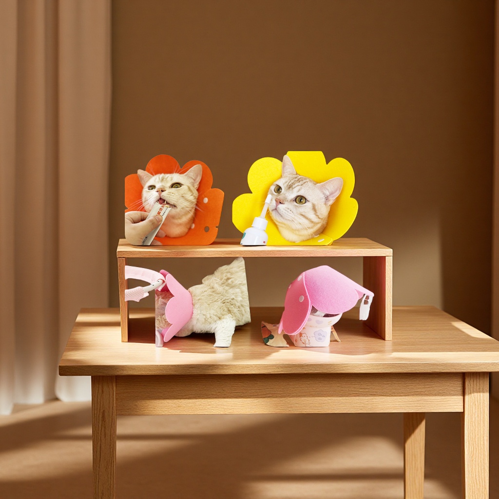 宠物项圈实物图