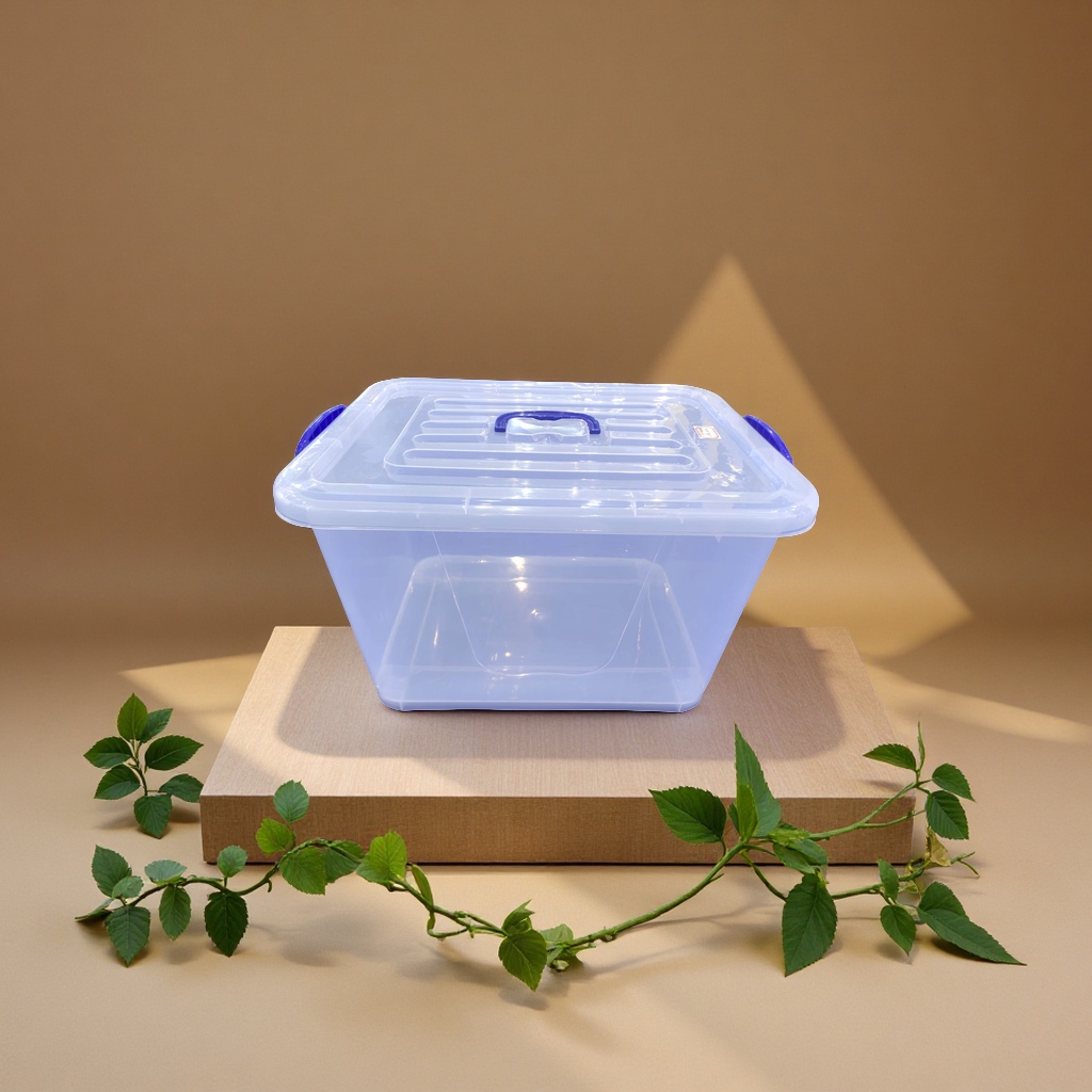 内衣内裤收纳盒整理盒抽屉储物盒透明防尘防潮收纳箱整理袋家用