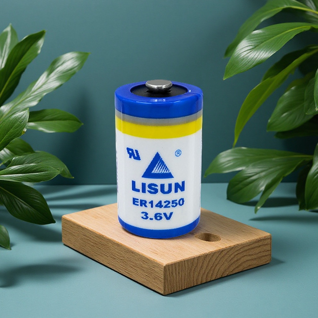 Lixing lithium battery ER14250 3.6V Delta programmer for iot PLC 1/2AA Electrical and Electronic details Picture