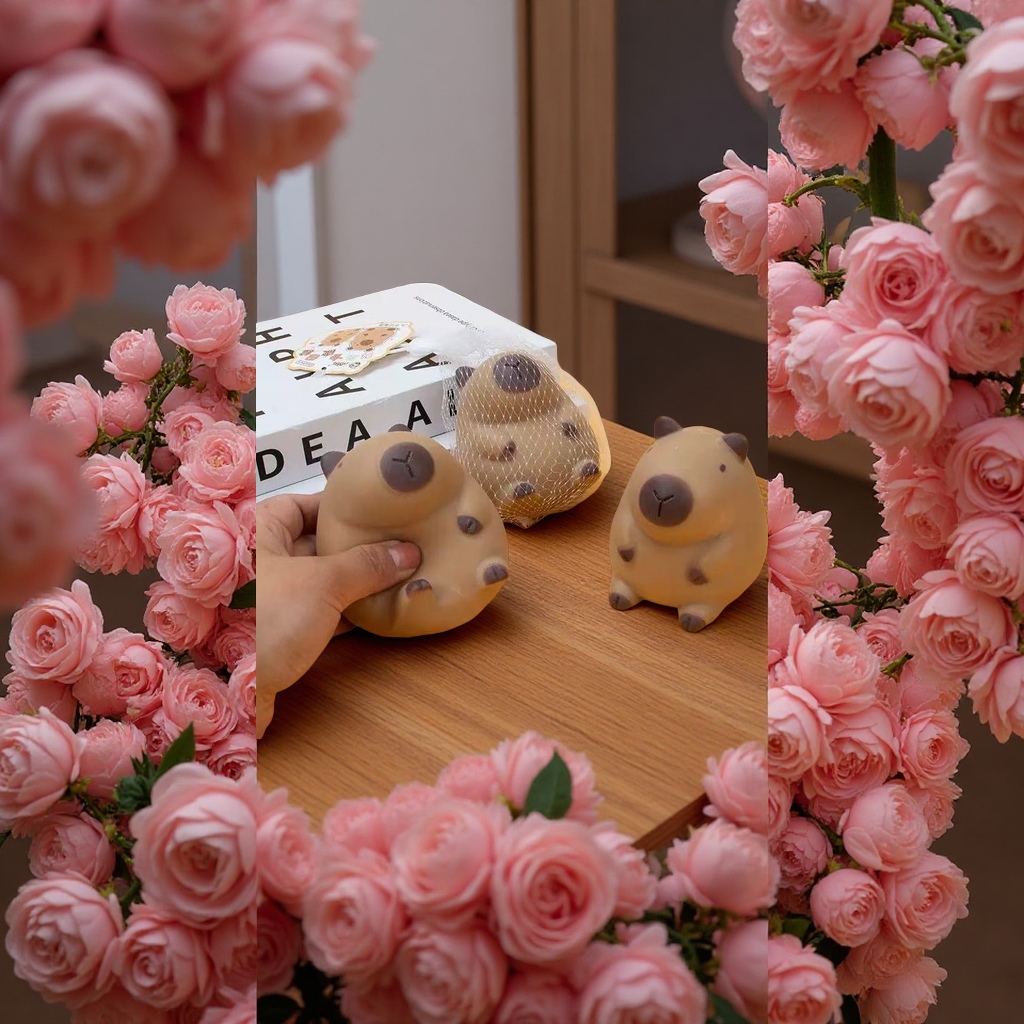 婴幼儿学爬玩具实物图