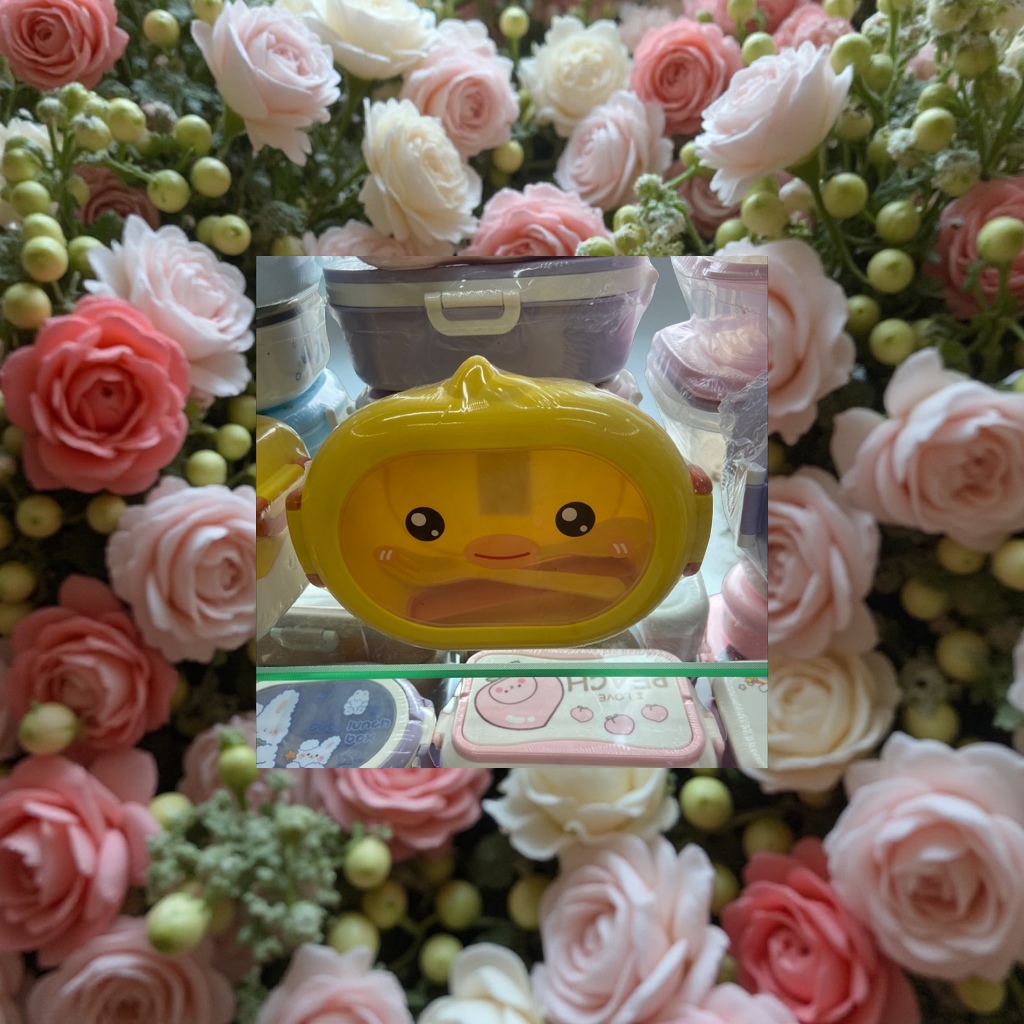 一次性餐盒实物图