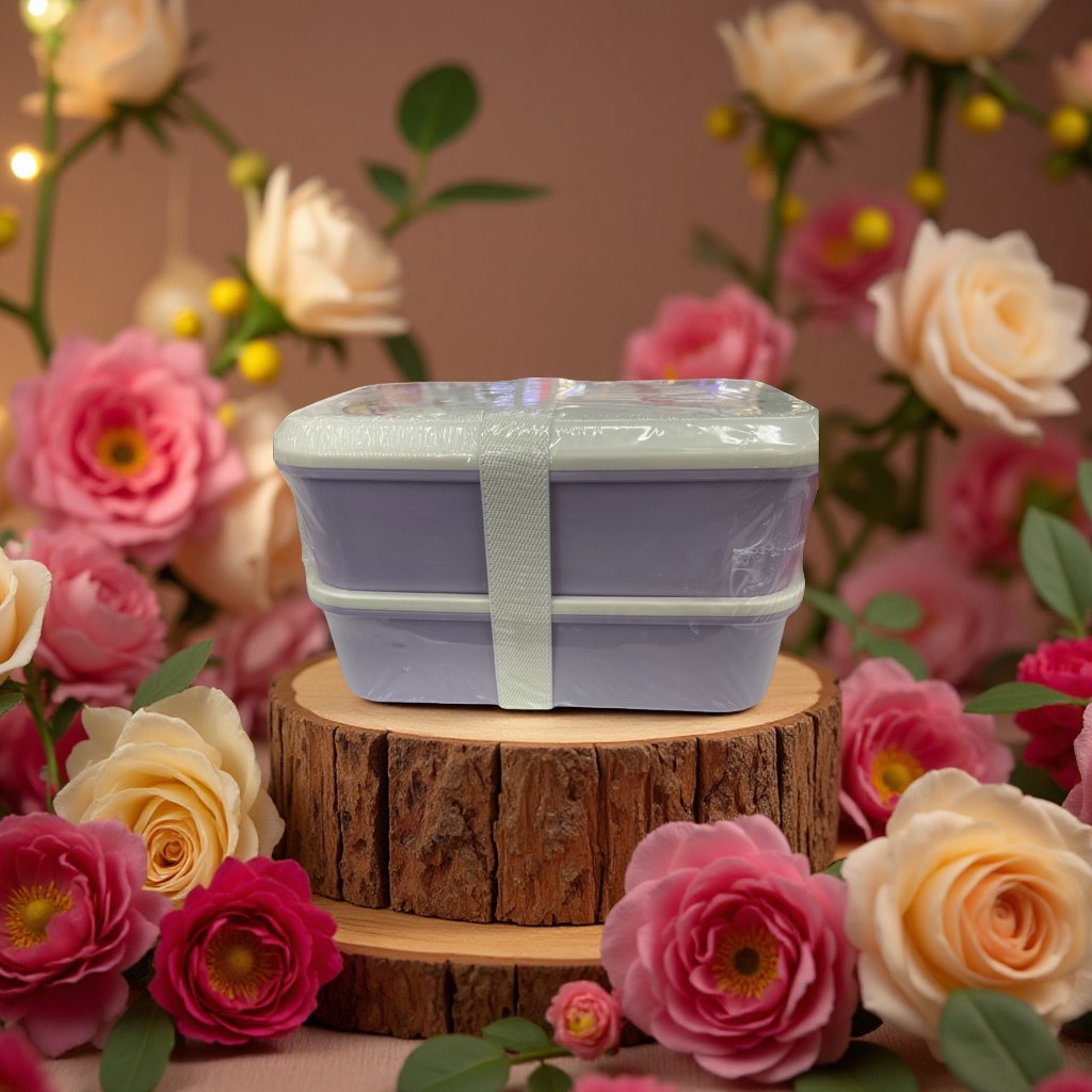 一次性餐盒实物图