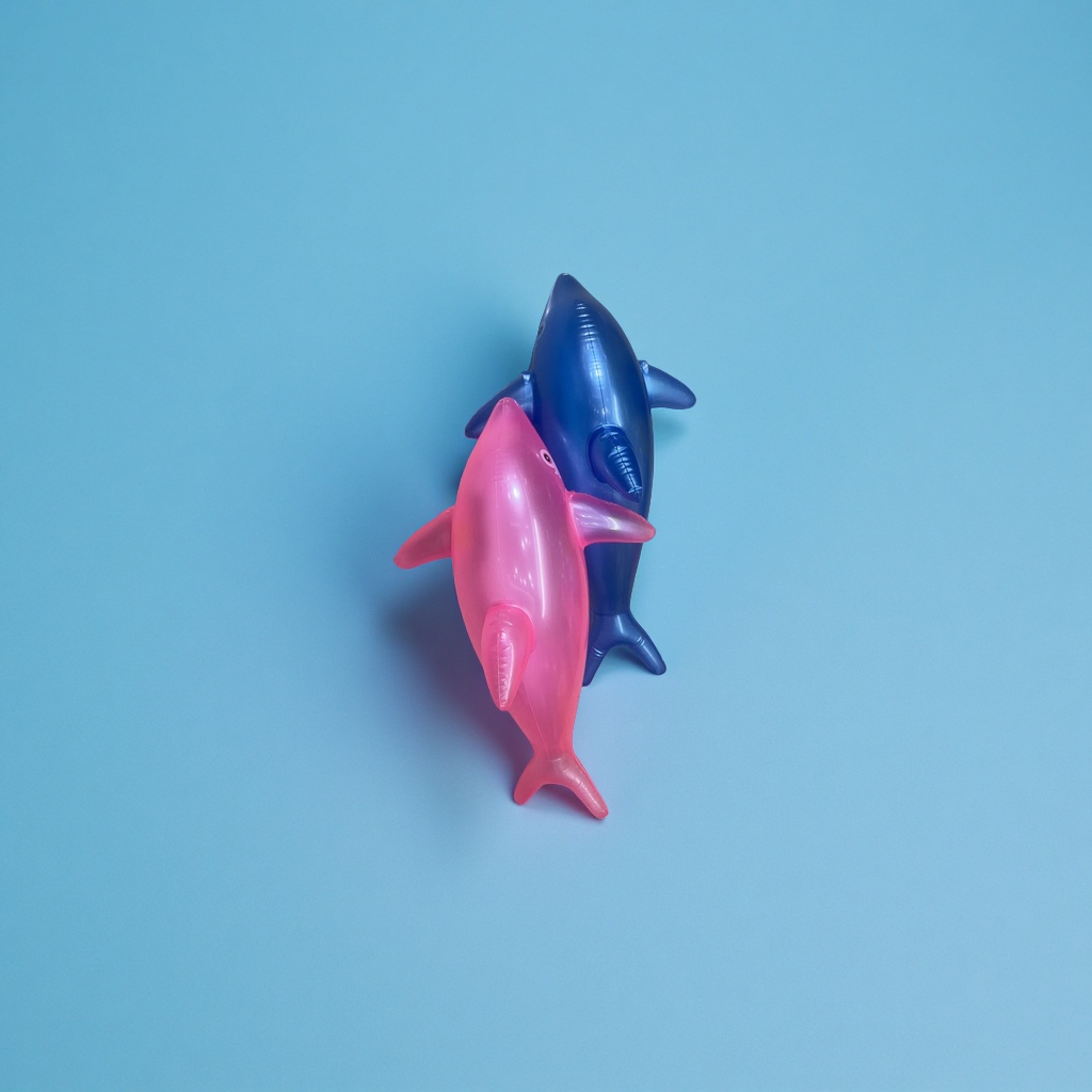 婴幼儿学爬玩具实物图