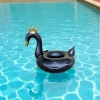 Black Swan Water inflatable children's Seat ring with wing anti-rollover baby swimming ring wholesale cartoon inflatable toy Application Scenario