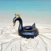 Black Swan Water inflatable children's Seat ring with wing anti-rollover baby swimming ring wholesale cartoon inflatable toy Item Picture