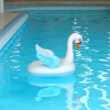 Large white goose boat inflatable children's seat rings with wings, anti-roll swimming rings, baby seat rings wholesale, outdoor sports wading products, inflatable beds, floating rafts details Picture