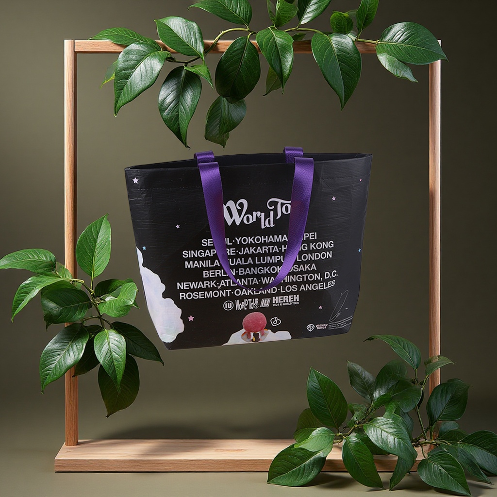 丽新布RPET购物袋韩国订单环保袋网红韩版ins风包装塑料环保袋