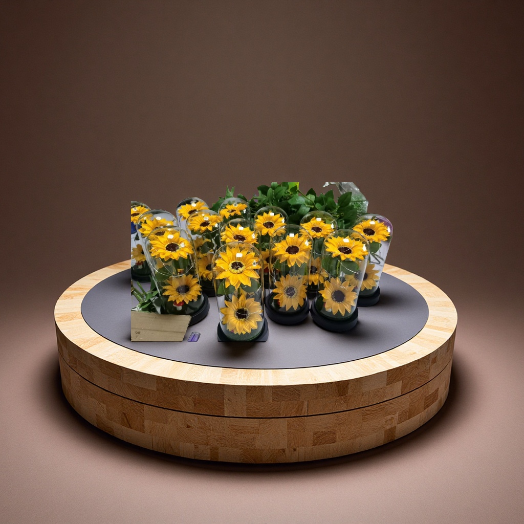 盆栽植物装饰品花艺摆件多肉绿植创意家居客厅阳台装饰品摆设品