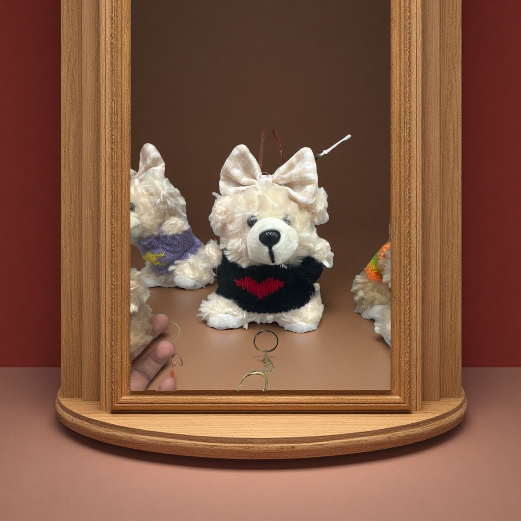 毛绒玩具熊白底实物图