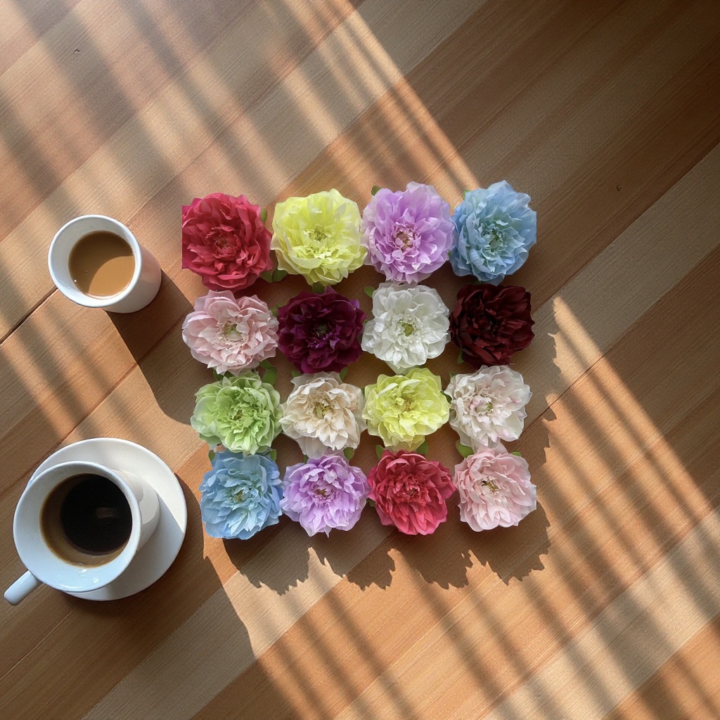 花卉盆栽多肉植物绿植室内阳台办公室观赏植物花卉组合多肉盆景